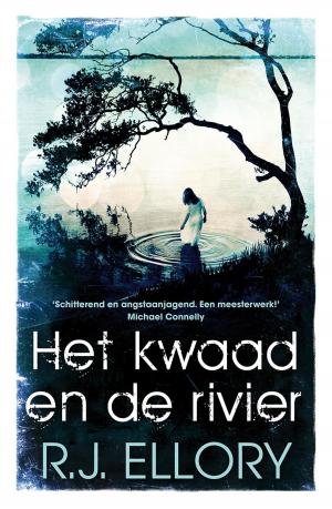 Cover of the book Het kwaad en de rivier by A.C. Baantjer