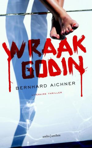 Book cover of Wraakgodin