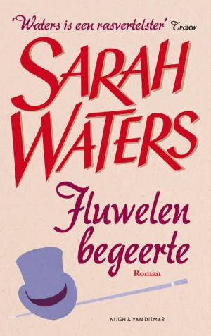 Cover of the book Fluwelen begeerte by Seppe van Groeningen