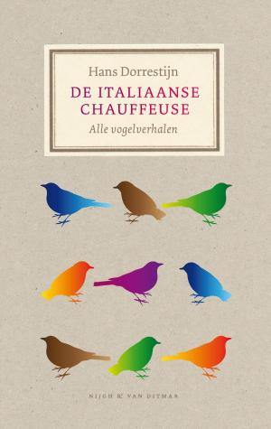 Book cover of De Italiaanse chauffeuse
