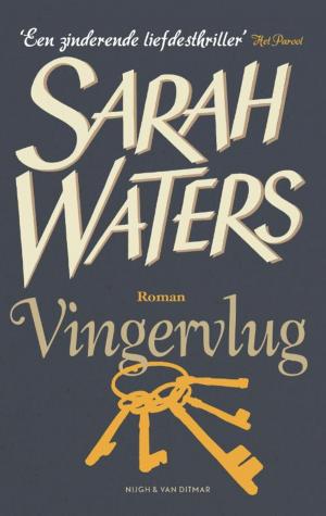 Cover of the book Vingervlug by Anna Enquist
