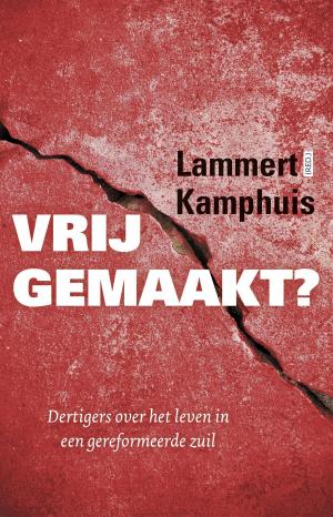 Cover of the book Vrijgemaakt? by Francine Rivers