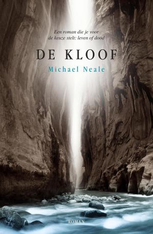 Cover of the book De kloof by Joke Verweerd