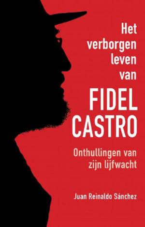 Cover of the book Het verborgen leven van Fidel Castro by Helen Schucman