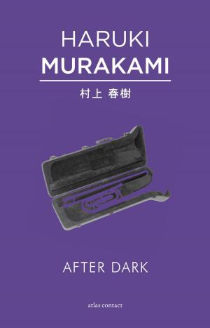 Cover of the book After dark by Alma Delia Murillo