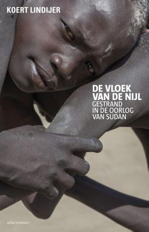 Cover of the book De vloek van de Nijl by Nelleke Noordervliet