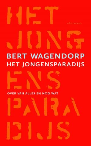 Cover of the book Het jongensparadijs by Jaap Peters, Rob Wetzels