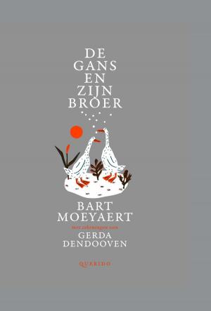 Cover of the book De gans en zijn broer by Marente de Moor