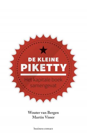 Cover of the book De kleine Piketty by Jacqueline Hoefnagels