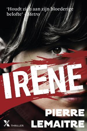 Cover of the book Irene by Bernard Minier