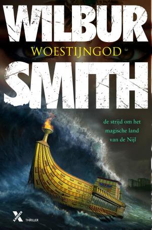 Cover of the book Woestijngod by Wilbur Smith