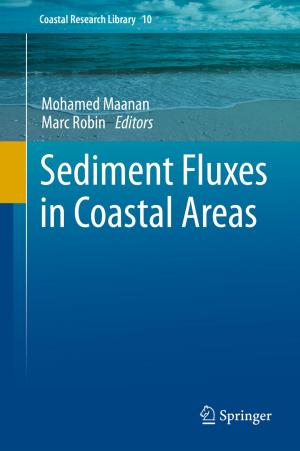 Cover of the book Sediment Fluxes in Coastal Areas by P. Narayanasamy