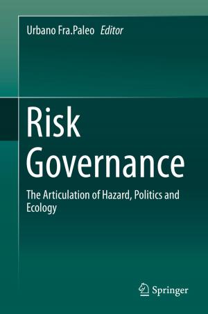 Cover of the book Risk Governance by Seongil Im, Youn-Gyoung Chang, Jae Hoon Kim