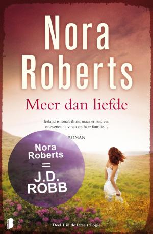 Cover of the book Meer dan liefde by Roald Dahl