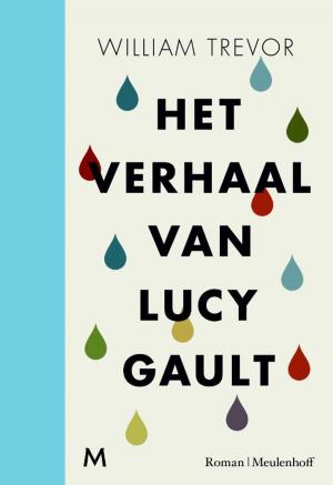 Book cover of Het verhaal van Lucy Gault