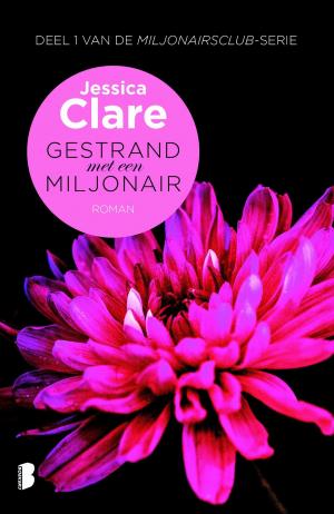 Cover of the book Gestrand met een miljonair by Nora Roberts