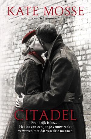 Cover of the book Citadel by Erika Johansen