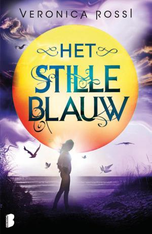 bigCover of the book Het stille blauw by 