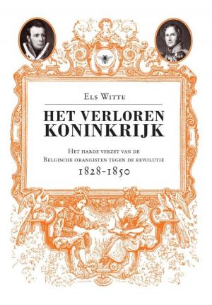 Cover of the book Het verloren koninkrijk by Ronald Giphart