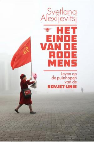 Cover of the book Het einde van de rode mens by Anne Enright