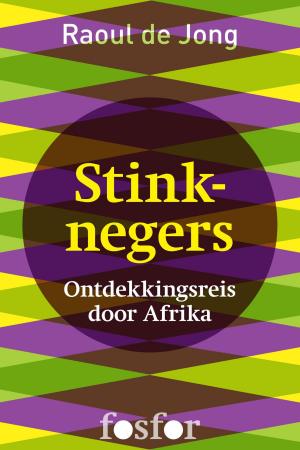 Cover of the book Stinknegers by Patrick DeWitt