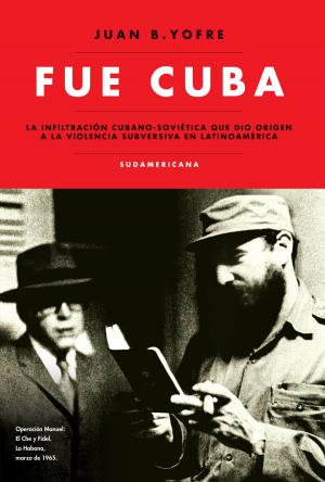 Book cover of Fue Cuba