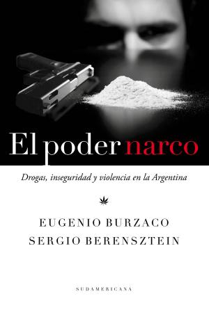 Cover of the book El poder narco by Diego Borinsky