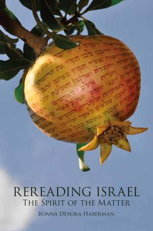 Cover of the book Rereading Israel by Rabbi Dr. Shmuly Yanklowitz