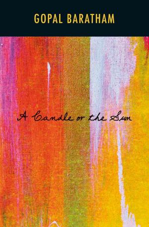 Book cover of A Candle or the Sun