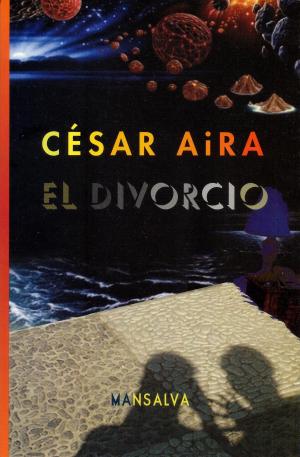 Cover of the book El divorcio by Brianna Callum