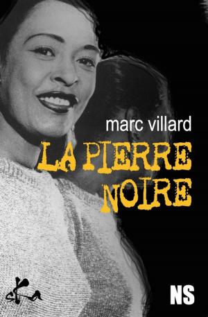 Book cover of La pierre noire