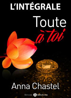 Cover of the book Toute à toi - l’intégrale by Phoebe P. Campbell
