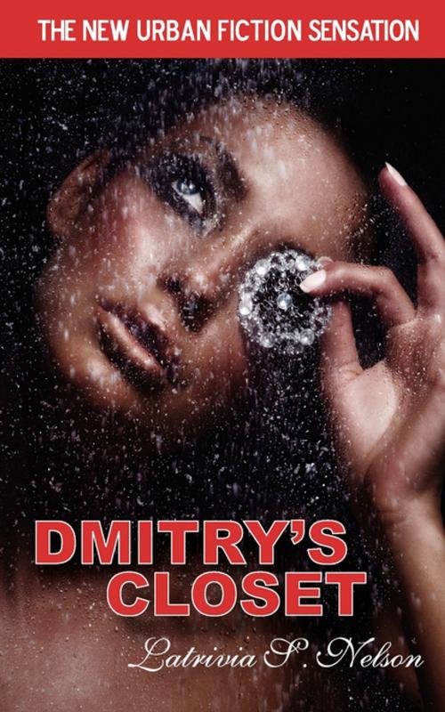 Cover of the book Dmitry's Closet by Latrivia Nelson, RiverHouse Publishing, LLC