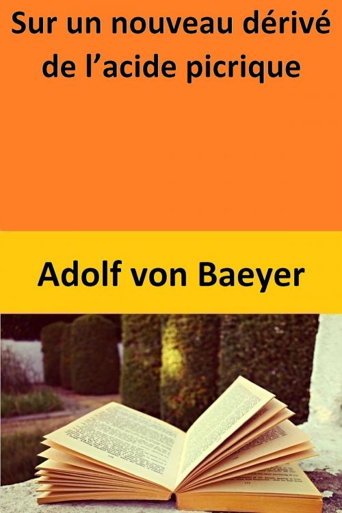 Cover of the book Sur un nouveau dérivé de l’acide picrique by Adolf von Baeyer, Adolf von Baeyer