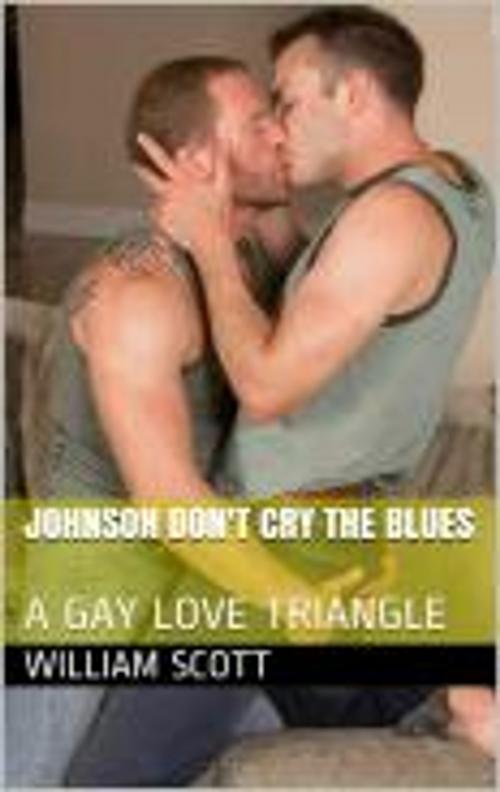 Cover of the book Johnson Don't Cry the Blues by William Scott, Metro4star publishing