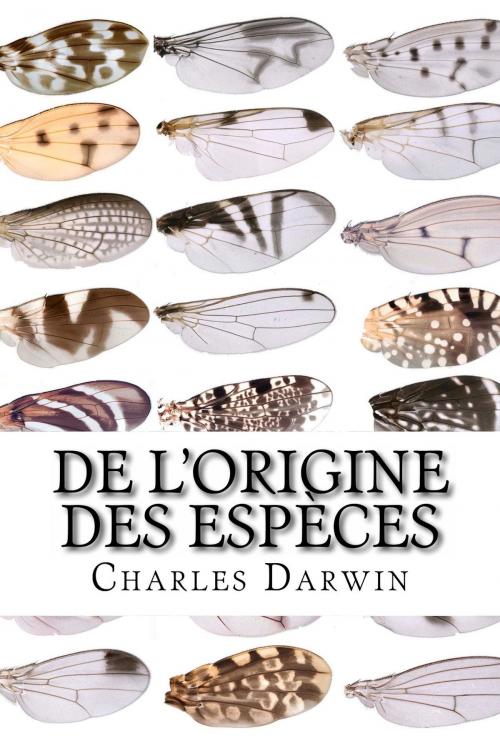 Cover of the book De l'Origine des espèces by Charles Darwin, Inktree