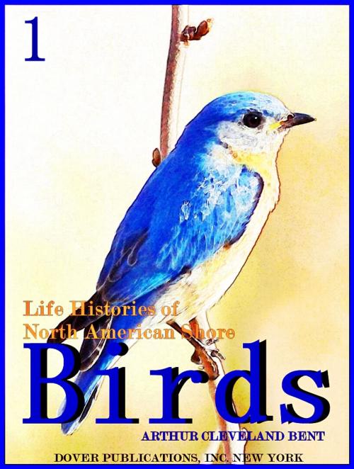 Cover of the book Life Histories of North American Shore Birds, Part 1 (of 2) (Illustrations) by Arthur Cleveland Bent, DOVER PUBLICATIONS, INC. NEW YORK