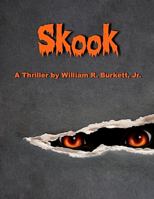 Cover of the book Skook by William R. Burkett, Jr., Absolutely Amazing Ebooks