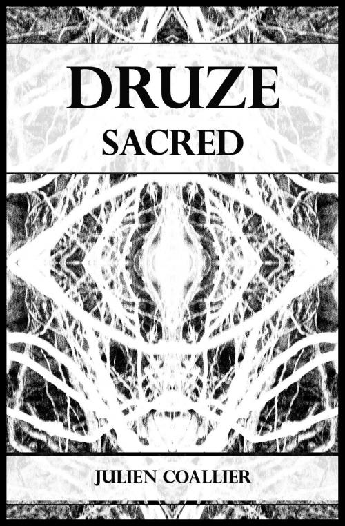 Cover of the book Druze by Julien Coallier, Archetype Publishing