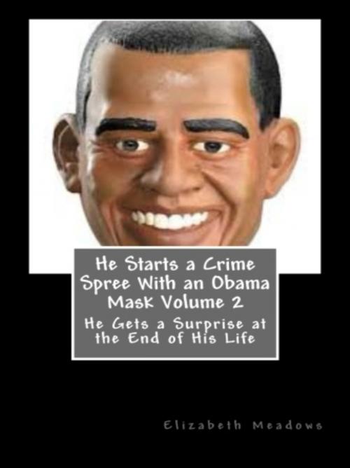 Cover of the book He Starts a Crime Spree With an Obama Mask Volume 2 by Elizabeth Meadows, Vince Stead
