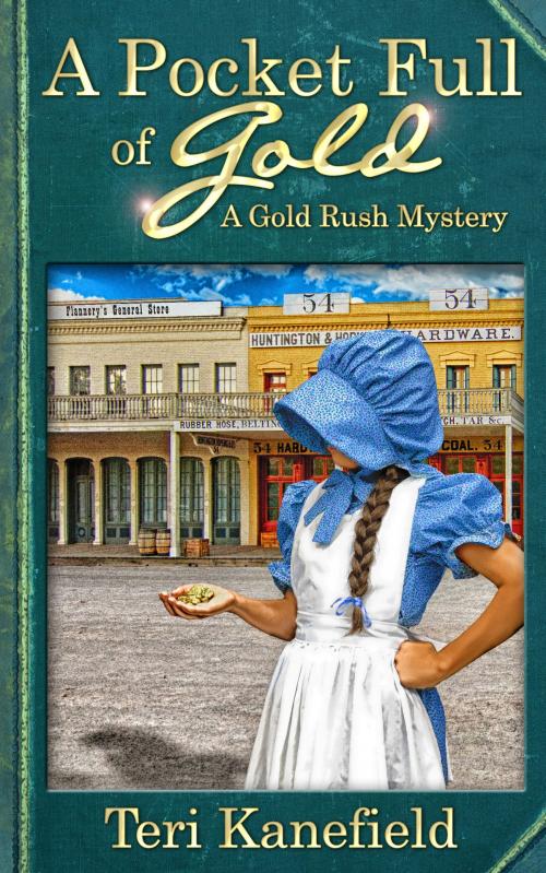 Cover of the book A Pocket Full of Gold by Teri Kanefield, Armon Books