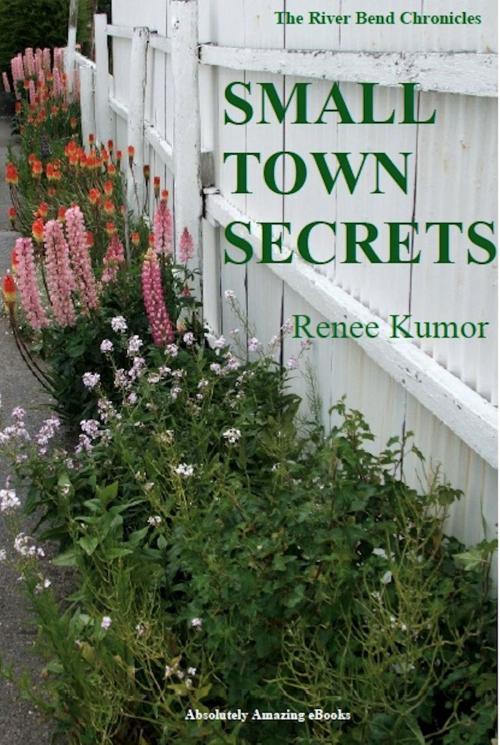 Cover of the book Small Town Secrets by Renee Kumor, Absolutely Amazing Ebooks