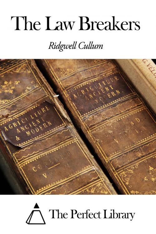 Cover of the book The Law Breakers by Ridgwell Cullum, The Perfect Library