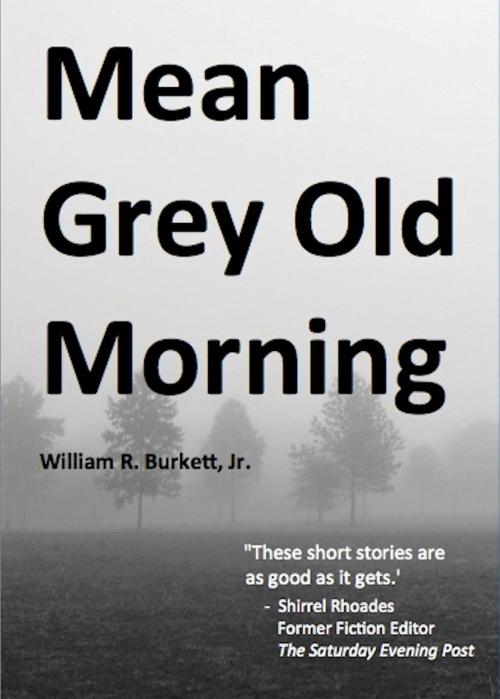 Cover of the book Mean Grey Old Morning by William R. Burkett, Jr., Absolutely Amazing Ebooks