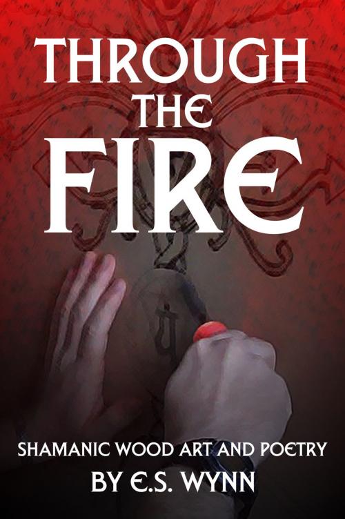 Cover of the book Through The Fire by E.S. Wynn, Thunderune Publishing