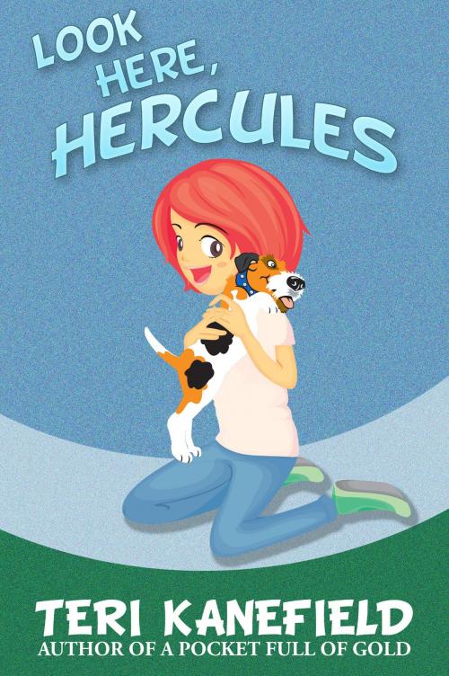 Cover of the book Look Here, Hercules by Teri Kanefield, Armon Books