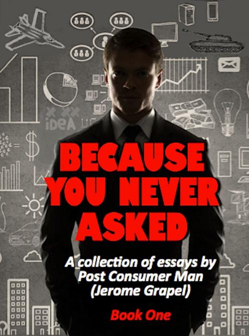 Cover of the book Because You Never Asked by Jerome Grapel, Absolutely Amazing Ebooks