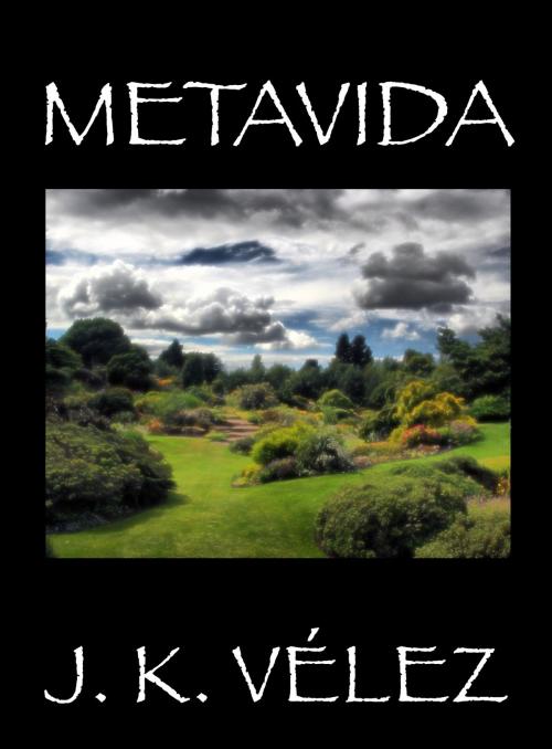 Cover of the book Metavida by J. K. Vélez, Nuevos Autores