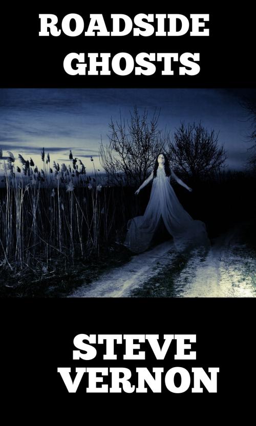 Cover of the book Roadside Ghosts by Steve Vernon, Stark Raven Press