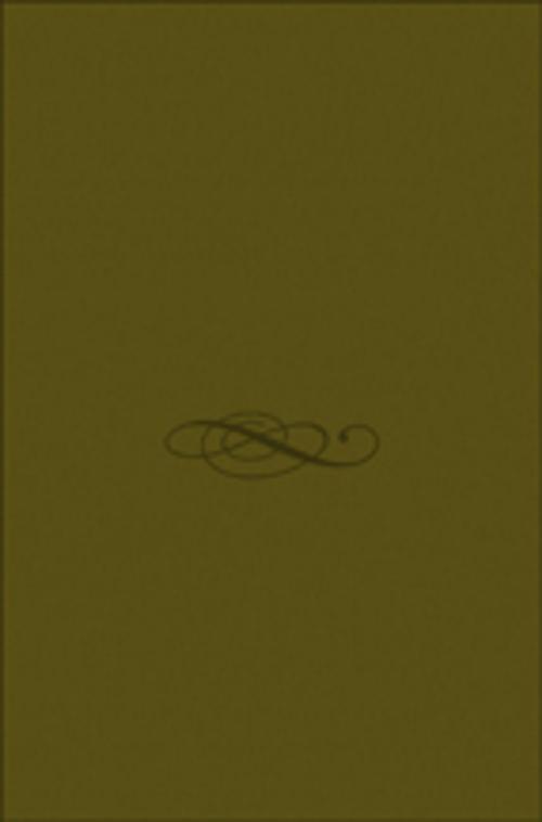 Cover of the book CYBERINVESTIGACIÓN by Jose Manuel Ferro Veiga, Jose Manuel Ferro Veiga